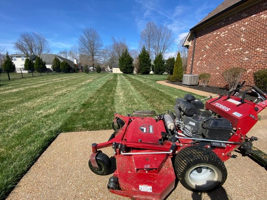 How To Paint Your Lawn {5 Simple Steps} GreenPal